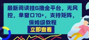 最新阅读挂G撸金平台,无风控,单窗口70+,支持矩阵,保姆级教程【揭秘】-资源云