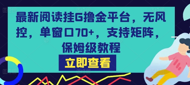 最新阅读挂G撸金平台，无风控，单窗口70+，支持矩阵，保姆级教程【揭秘】-资源云