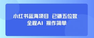 小红书蓝海项目,全程AI,操作简单,已挣五位数-资源云