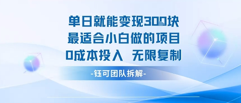 单日就能变现3张最适合小白做的项目0成本投入 无限复制-资源云