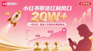 一年时间靠小红书带货项目年入20w+,最不能错的大红利项目-资源云