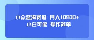 小众蓝海赛道,小白可做,操作简单,每天30分钟,月入1W+-资源云
