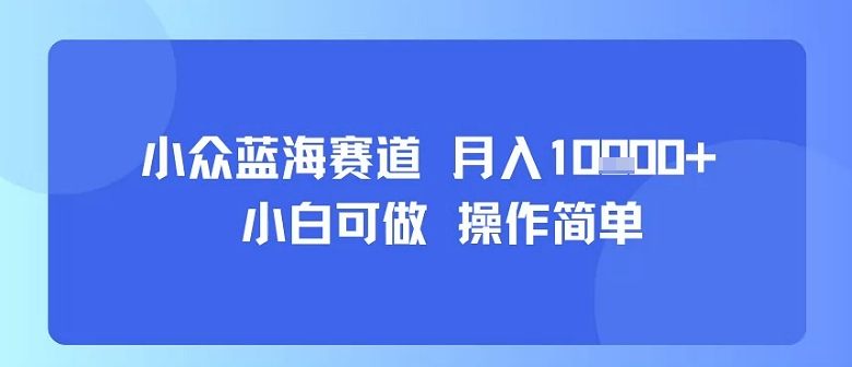 小众蓝海赛道，小白可做，操作简单，每天30分钟，月入1W+-资源云