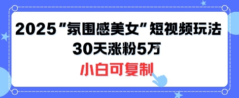 不露脸也能火！2025“氛围感美女”短视频玩法，30天涨粉5W小白可复制-资源云