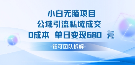小白无脑项目公域引流私域成交0成本单日变现680米-资源云