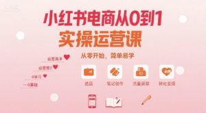 小红书电商从0到1实操运营课,从零开始,简单易学-资源云