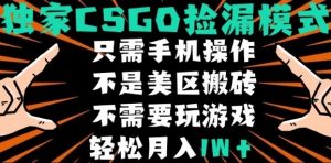 CSGO自动捡漏项目,最新独家玩法,不是美区搬砖,不需要了解和玩游戏,新手小白轻松月入1W+【揭秘】-资源云