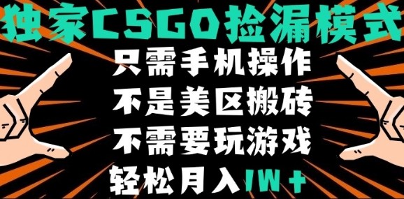 CSGO自动捡漏项目，最新独家玩法，不是美区搬砖，不需要了解和玩游戏，新手小白轻松月入1W+【揭秘】-资源云
