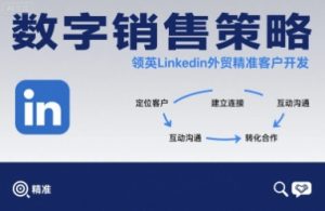 数字销售策略领英LinkedIn外贸精准客户开发-资源云