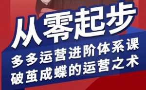 拼多多运营进阶系统课,从零起步,多多运营进阶体系课,破茧成蝶的运营之术-资源云
