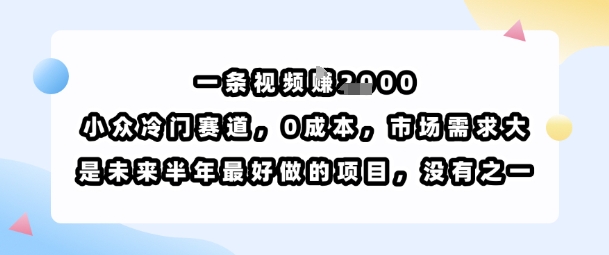 一条视频挣1k，小众冷门赛道，0成本，市场需求大，是未来半年最好做的项目，没有之一-资源云