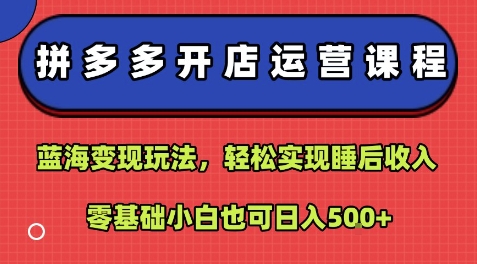 拼多多开店运营课程：蓝海变现玩法，轻松实现睡后收入，零基础小白也可日入5张-资源云