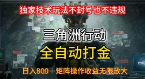 三角洲最新全自动G机,独家技术玩法,不封号也不违规, 日入8张+可矩阵操作,收益无限放大【揭秘】-资源云