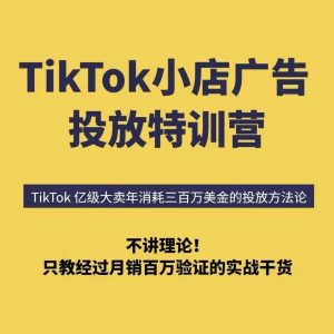 TikTok小店广告投放特训营,6天破局计划专治各种“投不动”,教你经过月销百万验证的实战干货-资源云