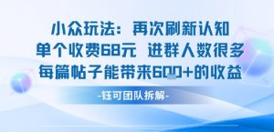小众玩法再次刷新认知单个收费68米进群人数很多每篇帖子能带来6张的收益-资源云