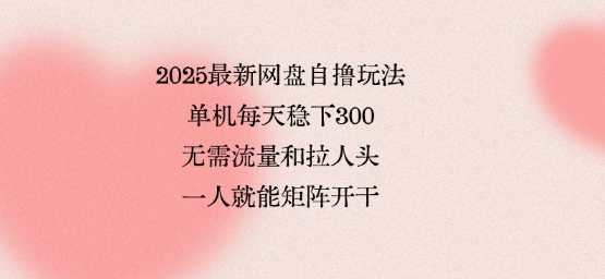 2025最新网盘自撸玩法，单机每天稳下3张，无需流量和拉人头，一个人就可轻松矩阵，全网独一份【揭秘】-资源云