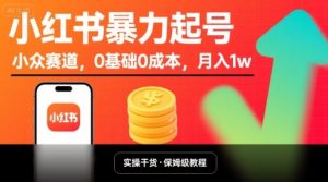 小红书暴力起号,小众赛道,0基础0成本,月入1w-资源云
