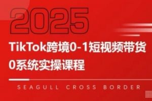 TikTok跨境0-1短视频带货,系统拆解TikTok跨境带货全链路,实现跨境可持续盈利-资源云