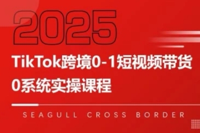 TikTok跨境0-1短视频带货，系统拆解TikTok跨境带货全链路，实现跨境可持续盈利-资源云
