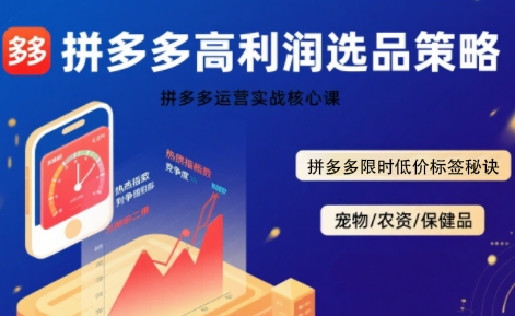拼多多选品暴利技术实战课，拼多多高利润选品策略，拼多多限时低价标签秘诀-资源云