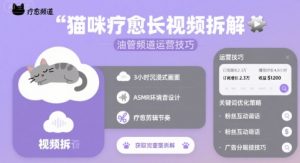 猫咪疗愈长视频拆解 &油管频道运营技巧-资源云