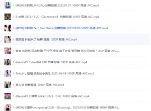 韩国美女舞蹈老师舞蹈教程合集 可以二创混剪美女跳舞-资源云