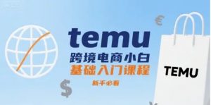 temu跨境电商小白基础入门课程 新手必看-资源云