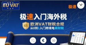 极速入门海外税 欧洲VAT财税合规 从0到1入门跨境电商财税-资源云