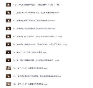 《B站精品课:熊伟零基础书法入门课》[MP4][8.44GB]-资源云