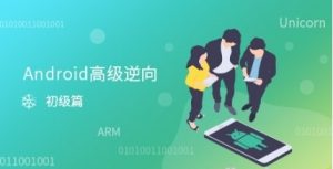 看雪论坛 Unicorn高级逆向与反混淆【4.63 GB】-资源云