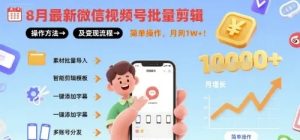 8月最新微信视频号批量剪辑操作方法及变现流程 简单操作 月入1w+-资源云