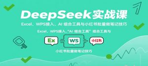 DeepSeek实战课 Excel、WPS接入、AI组合工具与小红书批量做笔记技巧-资源云