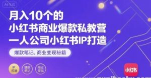 月入10个的小红书商业爆款私教营 一人公司小红书IP打造 爆款笔记 商业变现秘籍-资源云
