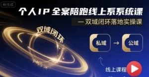 个人IP全案陪跑线上系统课 双域闭环落地实操课-资源云
