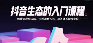 抖音生态的入门课程 流量变现全攻略 16种盈利方式 标签体系精准定位-资源云