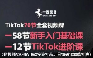TikTok全套视频课,新手入门+进阶课,短视频ADS-GMV MAX投流打品,日销破1000单打法-资源云