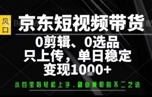 你出账号,我来运营,保底日入1k+,开启躺賺模式【揭秘】-资源云