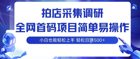 拍店采集调研，全网首码项目，简单易操作， 小白也能轻松上手，多账号操作，轻松日入5张【揭秘】-资源云
