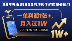 25年外面卖1500的正规手机流量卡项目,一单利润1张+,月入过1W,人人可做(推广技术+正规渠道)【揭秘】-资源云