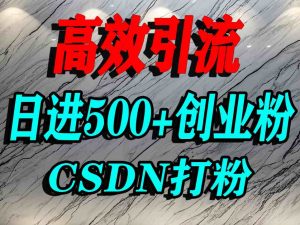 怎么打创业粉?CSDN又一个你不知道的打粉引流神秘平台,单人日引500+精准流量-资源云