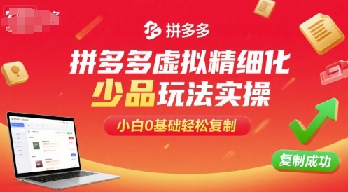 拼多多虚拟精细化少品玩法实操，小白0基础轻松复制-资源云