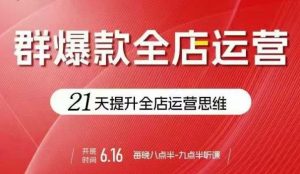 贾真电商群爆款全店运营,21天提升全店运营思维,起店、全店运营爆款不断-资源云