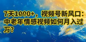7天收益1k+,视频号新风口:中老年情感视频如何月入过W?-资源云