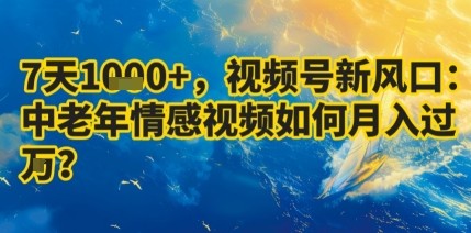 7天收益1k+，视频号新风口：中老年情感视频如何月入过W?-资源云