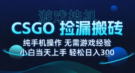 8月最新游戏搬砖，CSGO纯挂G，不需要玩游戏，实现真挂G，月入1W+【揭秘】-资源云