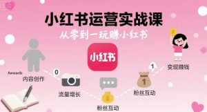 小红书运营实战课，从零到一玩賺小红书-资源云