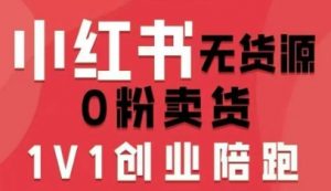 小红书无货源0粉电商课,开店准备、选品策略、笔记撰写、视频剪辑、数据分析、账号打造、资料文档-资源云
