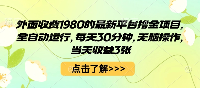 外面收费1980的最新平台撸金项目，全自动运行，每天30分钟，无脑操作，当天收益3张【揭秘】-资源云