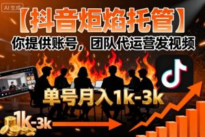 【抖音炬焰托管】你提供账号,团队代运营发视频,单号月入1k+【揭秘】-资源云