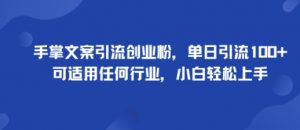 手掌文案引流创业粉,单日引流100+,可适用任何行业,小白轻松上手-资源云